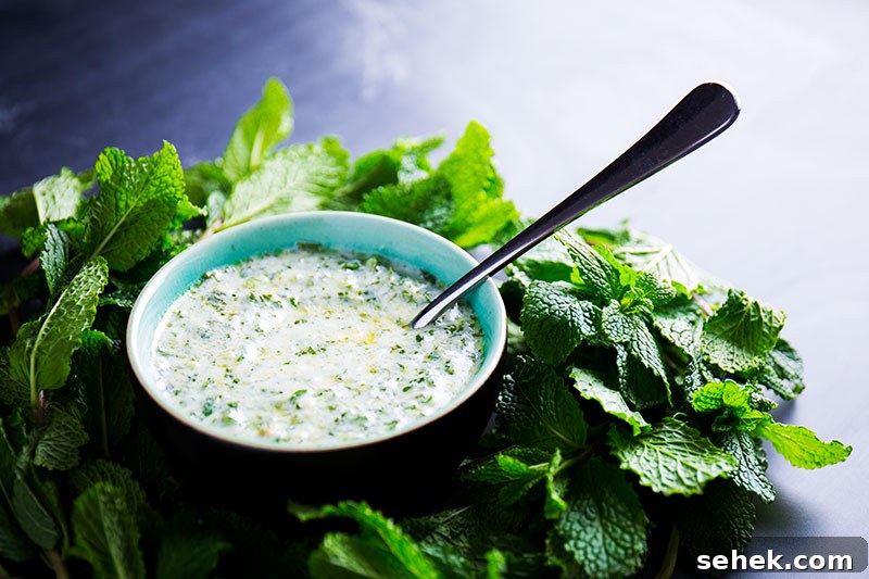 mint yoghurt