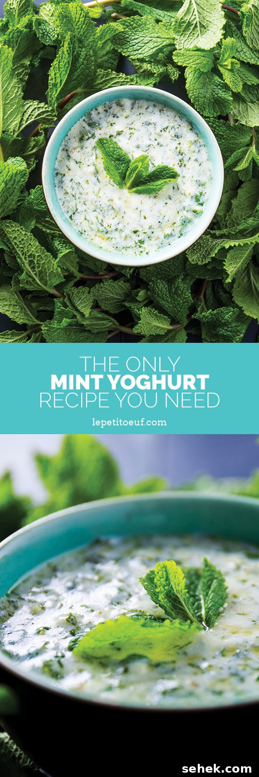 Mint Yogurt Recipe with Fresh Mint Sauce for Salads & Dips 6 Mint yoghurt