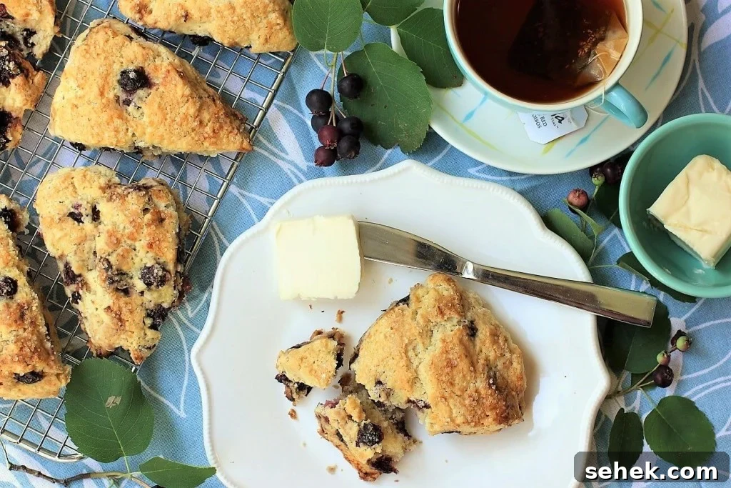 Gluten-Free Saskatoon Berry Scones Recipe 2 gluten free saskatoon scones with a dab of butter and a cup of tea