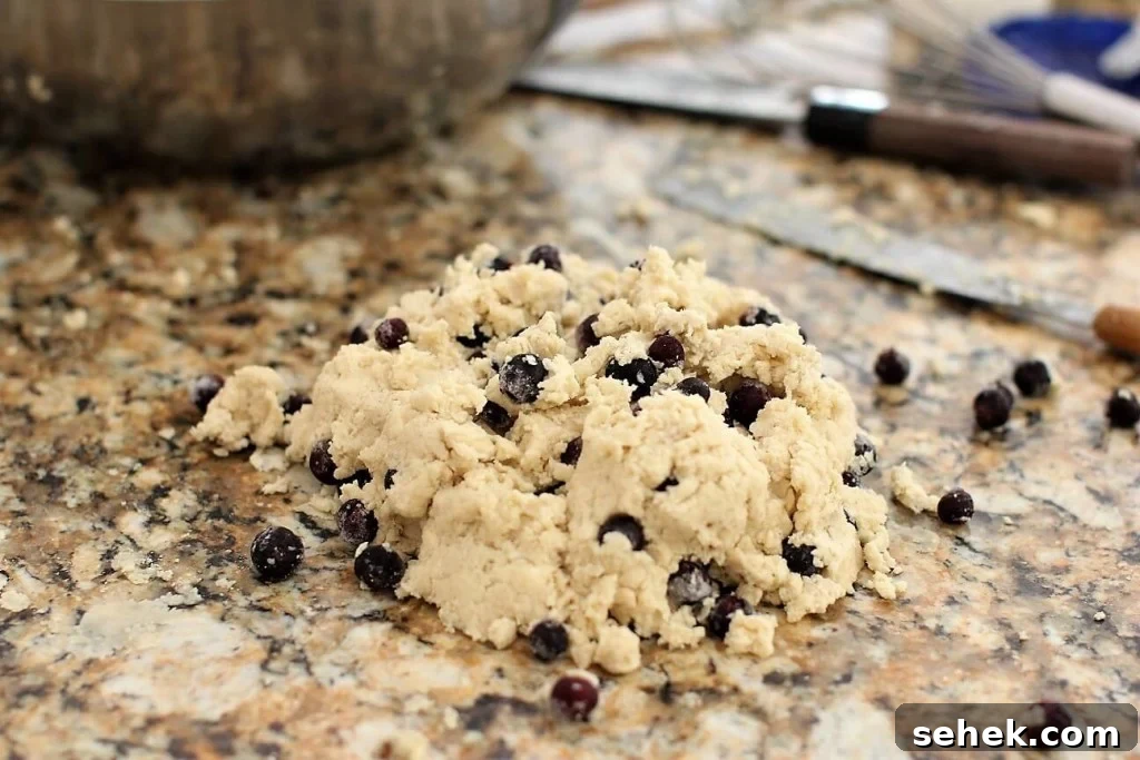 Gluten-Free Saskatoon Berry Scones Recipe 11 dump out the saskatoon scone dough