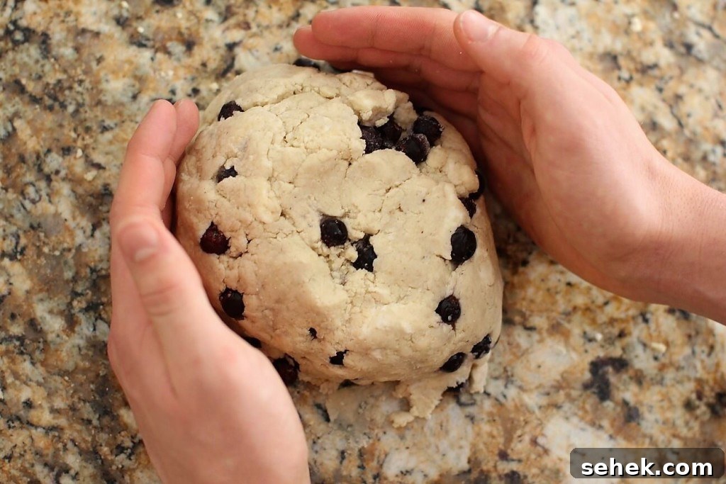 Gluten-Free Saskatoon Berry Scones Recipe 12 saskatoon scones, shaping the dough