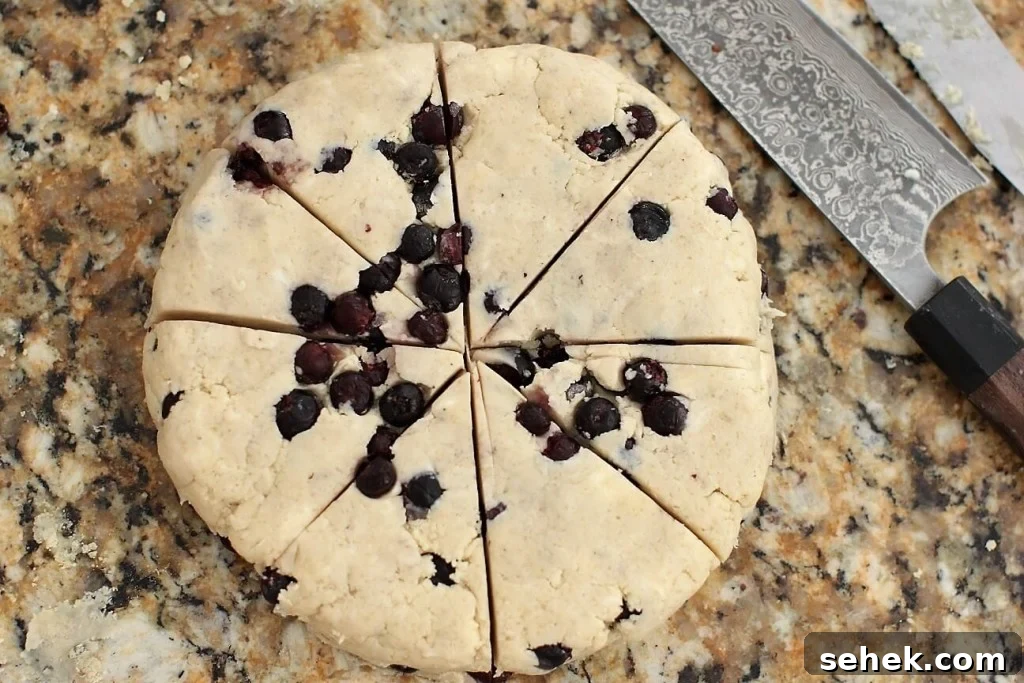 Gluten-Free Saskatoon Berry Scones Recipe 13 saskatoon scones cut in triangles