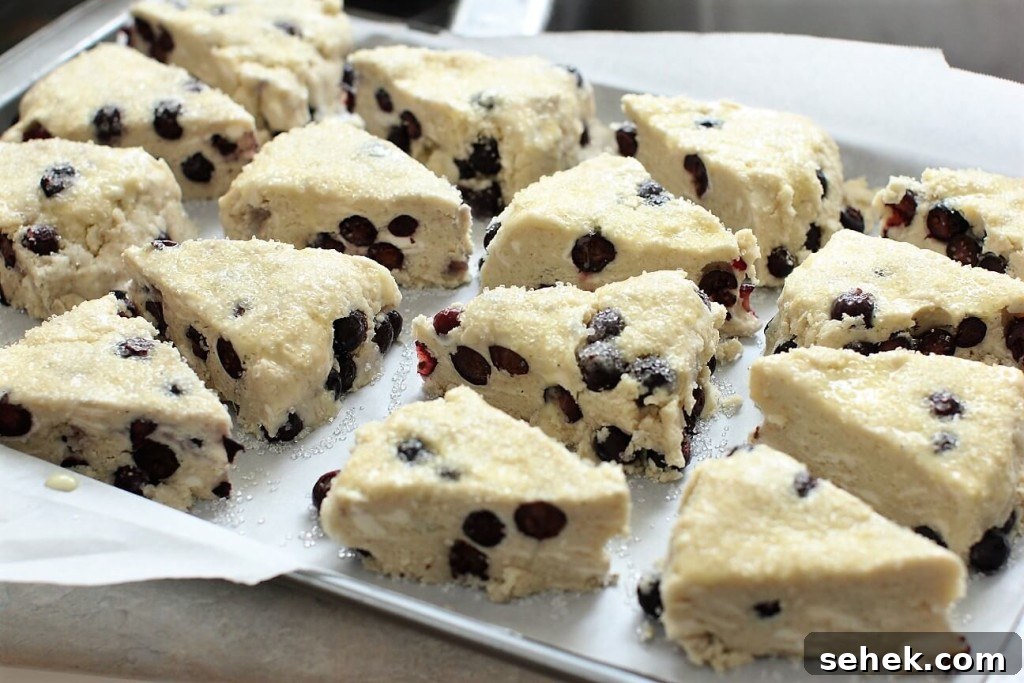 Gluten-Free Saskatoon Berry Scones Recipe 14 saskatoon scones cut and ready for the oven