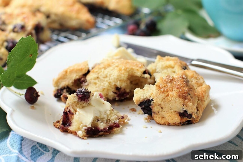 Gluten-Free Saskatoon Berry Scones Recipe 15 have a saskatoon scone with butter
