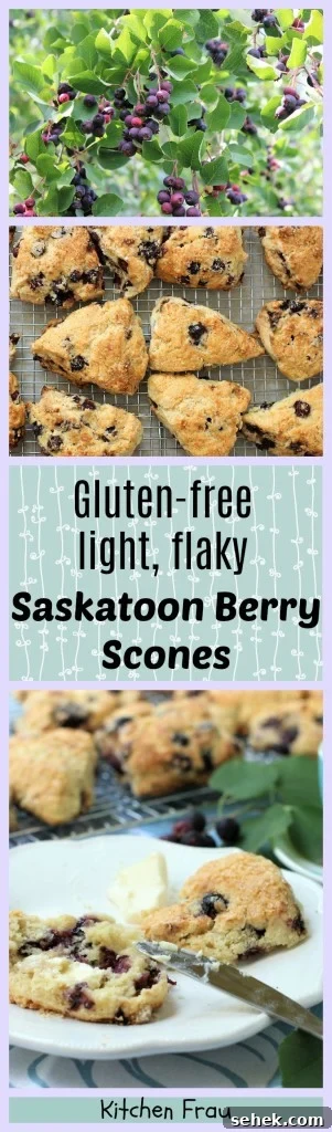 Gluten-Free Saskatoon Berry Scones Recipe 17 Gluten free saskatoon scones long image