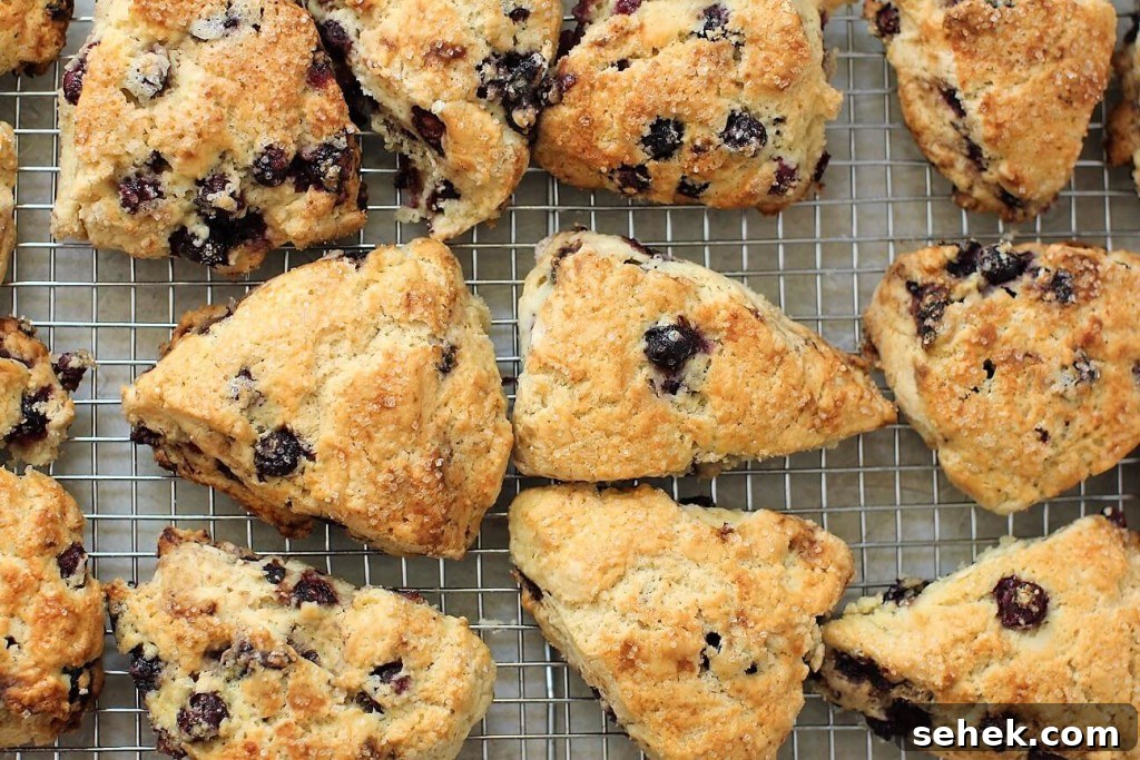 Gluten-Free Saskatoon Berry Scones Recipe 9 freshly baked saskatoon scones