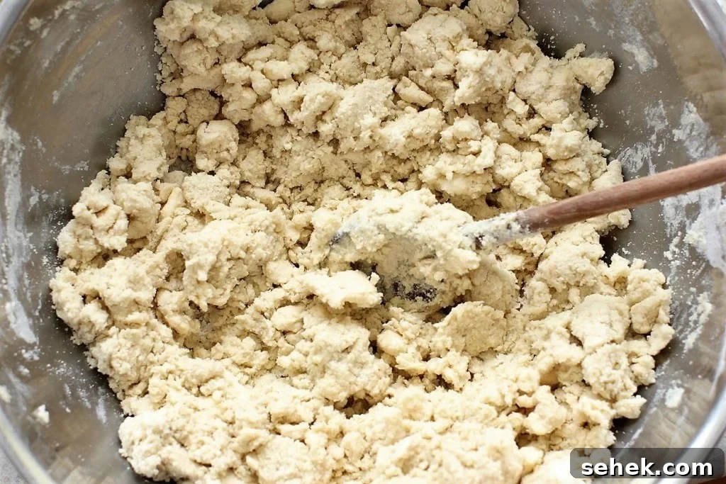 Gluten-Free Saskatoon Berry Scones Recipe 10 saskatoon scones - loose, crumbly dough
