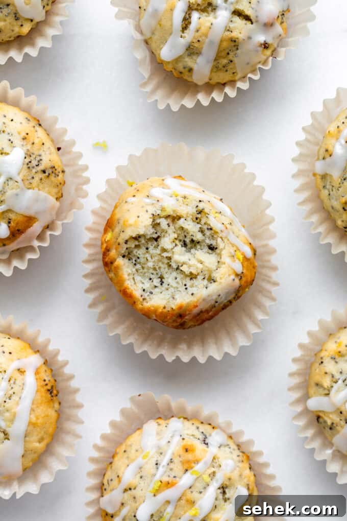 Moist Lemon Poppy Seed Muffins Recipe 11 lemon poppy seed muffins with lemon glaze