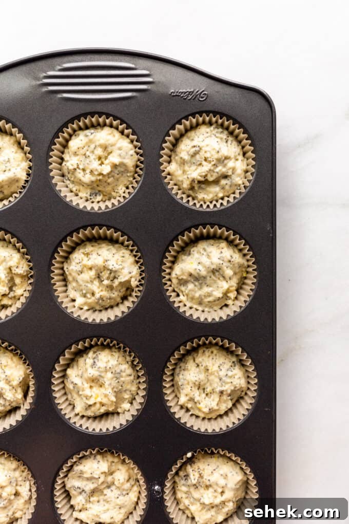 Moist Lemon Poppy Seed Muffins Recipe 9 unbaked lemon poppyseed muffins in a muffins pan