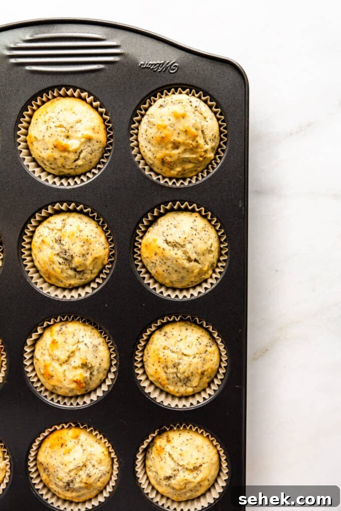 Moist Lemon Poppy Seed Muffins Recipe 10 lemon poppyseed muffins in a muffin pan