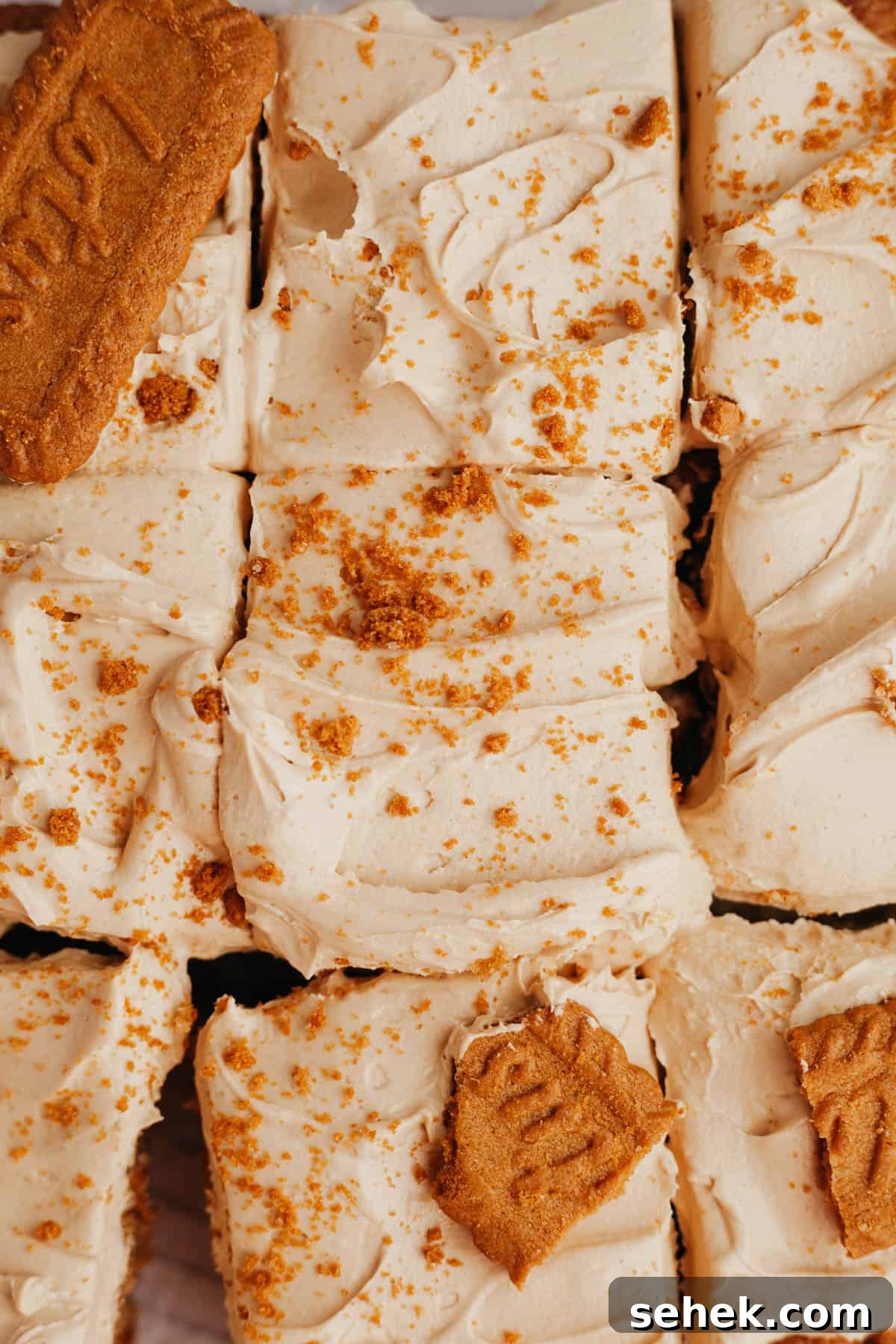 5-Ingredient Biscoff Buttercream Frosting 2 An overhead shot of a sheet cake covered in beige frosting and topped with Biscoff cookies.