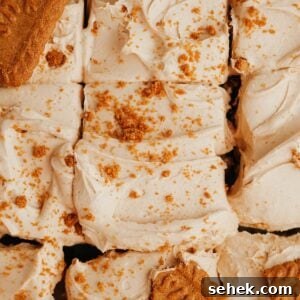 5-Ingredient Biscoff Buttercream Frosting 6 A close up of Biscoff buttercream, sprinkled with Biscoff cookie crumbs.