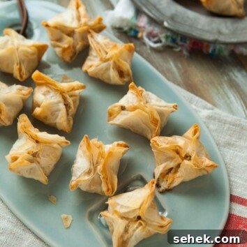 Cheddar, Blue Cheese and Bacon Stuffed Phyllo Mushroom Appetizers from thelittlekitchen.net