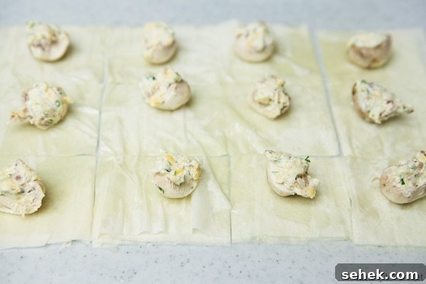 Cheddar, Blue Cheese and Bacon Stuffed Phyllo Mushroom Appetizers from thelittlekitchen.net