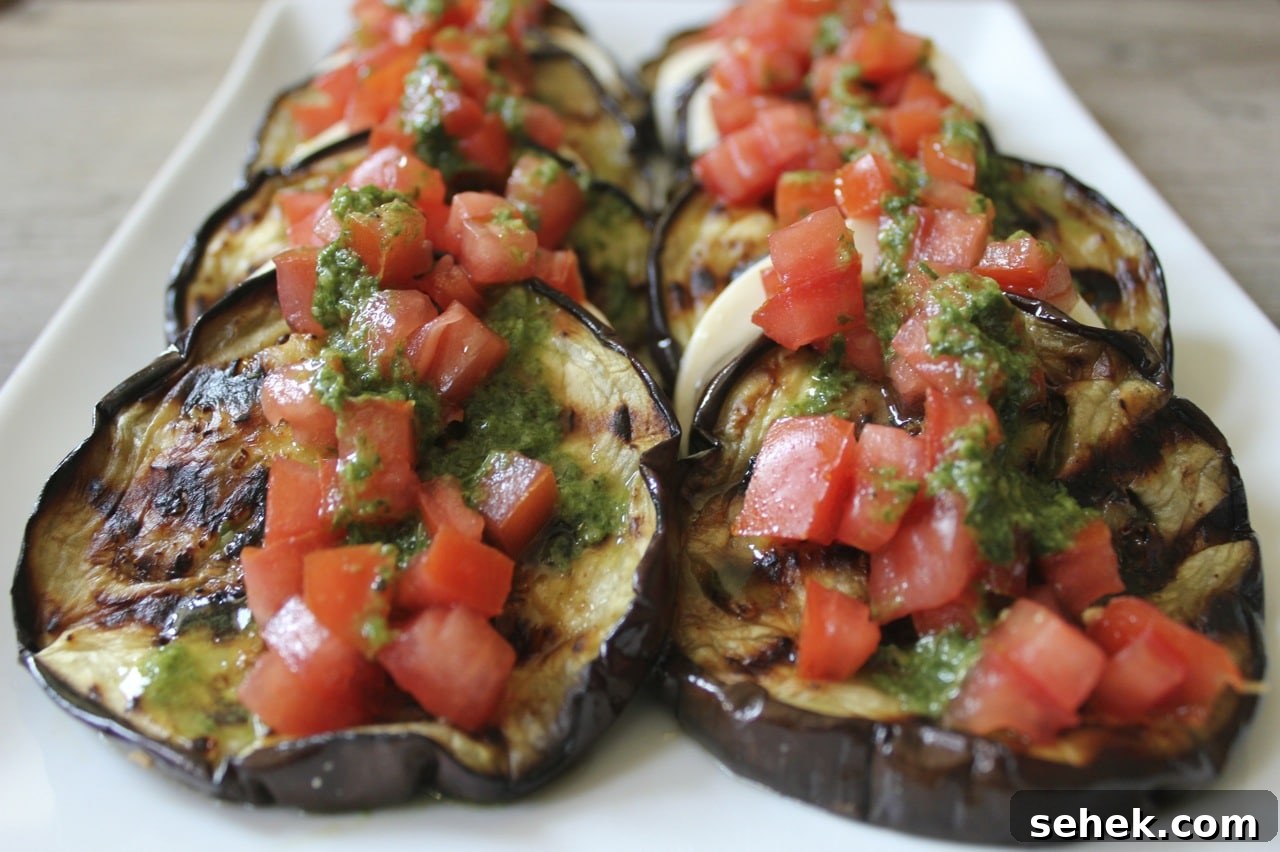 Grilled Eggplant with Mozzarella, Tomatoes and Basil Vinaigrette 7 grilled-eggplant-with-fresh-mozzarella-tomatoes-and-basil-vinaigrette