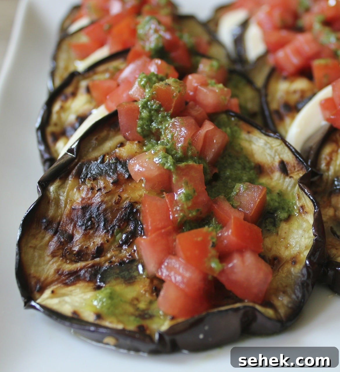 Grilled Eggplant with Mozzarella, Tomatoes and Basil Vinaigrette 6 Grilled-Eggplant-with-mozzarella-tomatoes-and-basil-vinaigrette-4