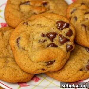 Big-Batch Chocolate Chip Cookies with Molasses 3 Large Batch Chocolate Chip Cookies with Molasses originally from Roland Mesnier