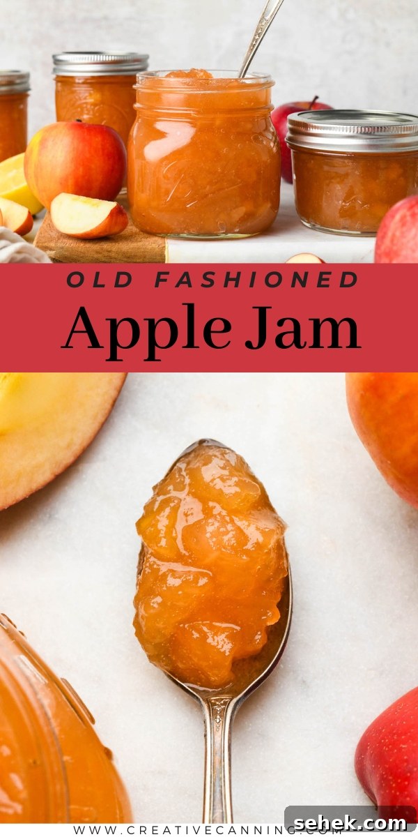 Homemade Spiced Apple Jam Recipe 10 Old Fashioned Apple Jam Recipe