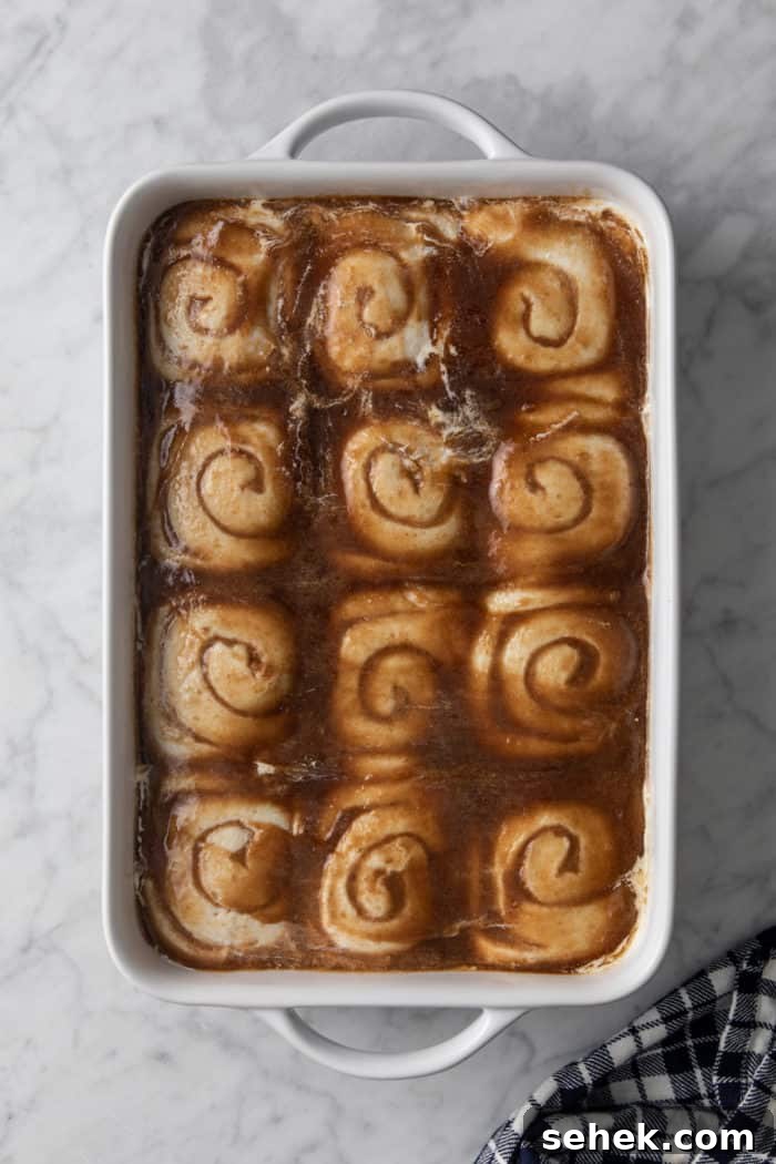 TikTok Cinnamon Rolls Made with Heavy Cream 6 Tiktok cinnamon rolls, aka cinnamon rolls with heavy cream, assembled and ready to be baked in a white baking dish.
