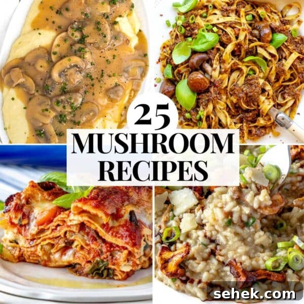 How to Cook Asparagus: Roasting, Sautéing and Steaming Tips 17 Mushroom recipes with dinner and lunch ideas