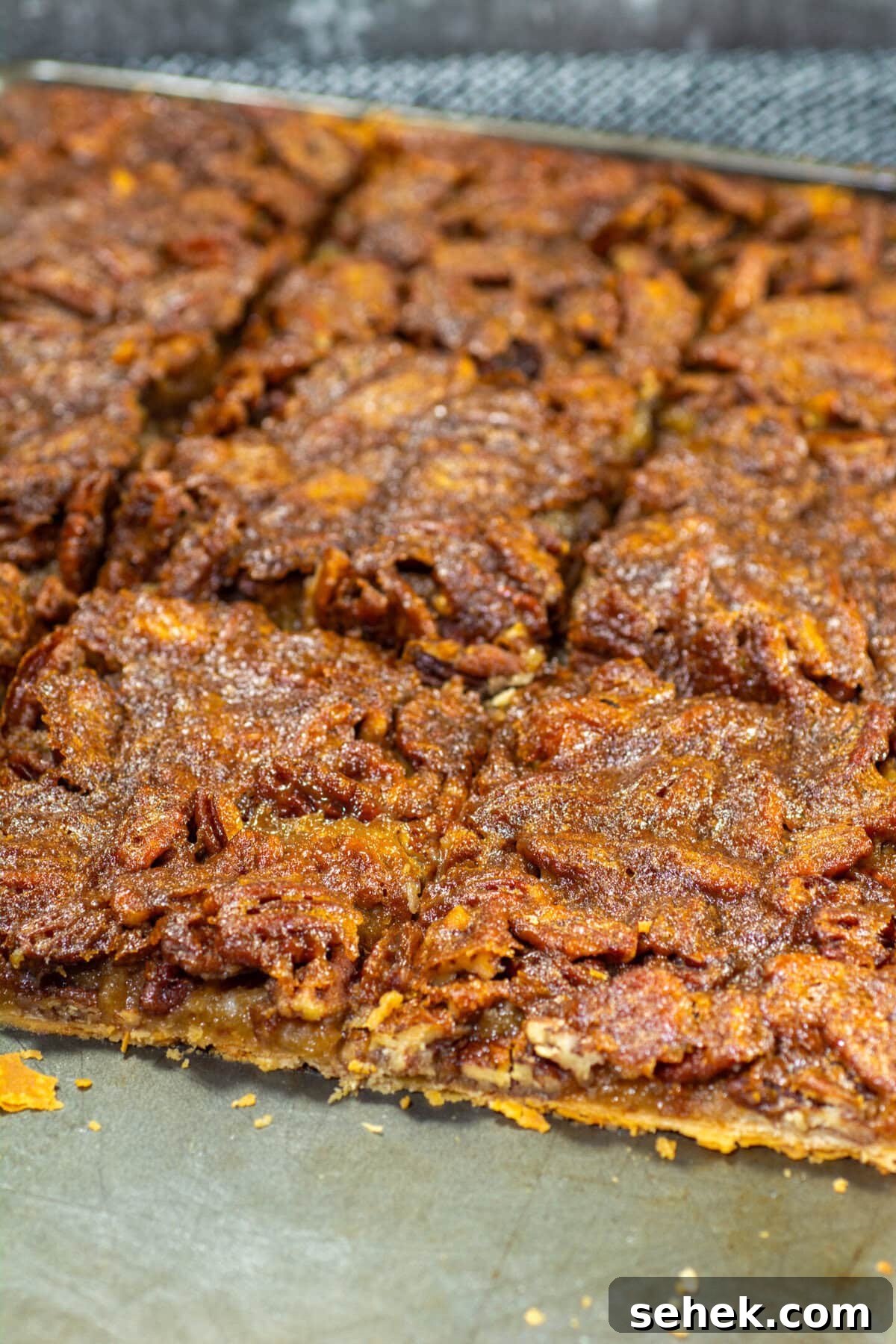 Classic Pecan Slab Pie with Buttery Crust 12 Single square of pecan slab pie on a plate