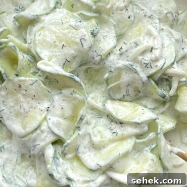 Classic Southern Potato Salad Recipe 13 Thinly sliced cucumbers covered in a creamy dressing with fresh dill.