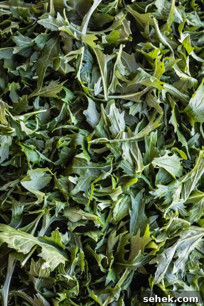 Mizuna lettuce close up
