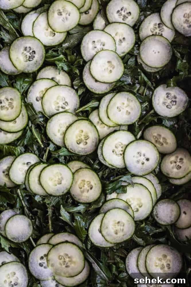 Mizuna topped with cucumbers