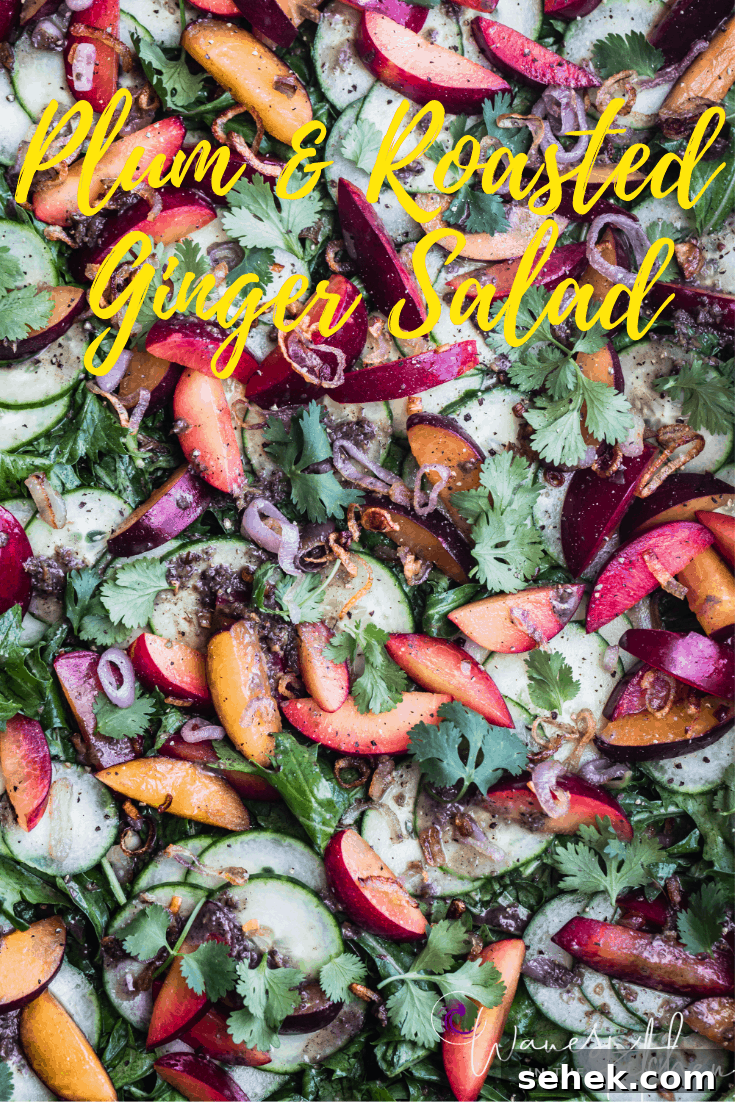 Final Plum & Cucumber Salad with Roasted Ginger Vinaigrette plated with crispy shallots, cilantro and sesame seeds