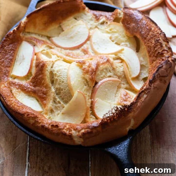 Cinnamon Apple Dutch Baby