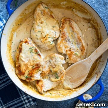 Skillet Chicken with Creamy Mustard Sauce 15 Skillet containing sauteed chicken with a creamy mustard sauce.